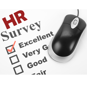 Human Resources Services Survey
