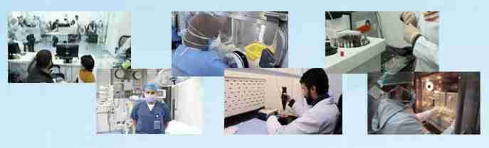 Clinical Pharmacy Virtual Internship - Fifth Wave