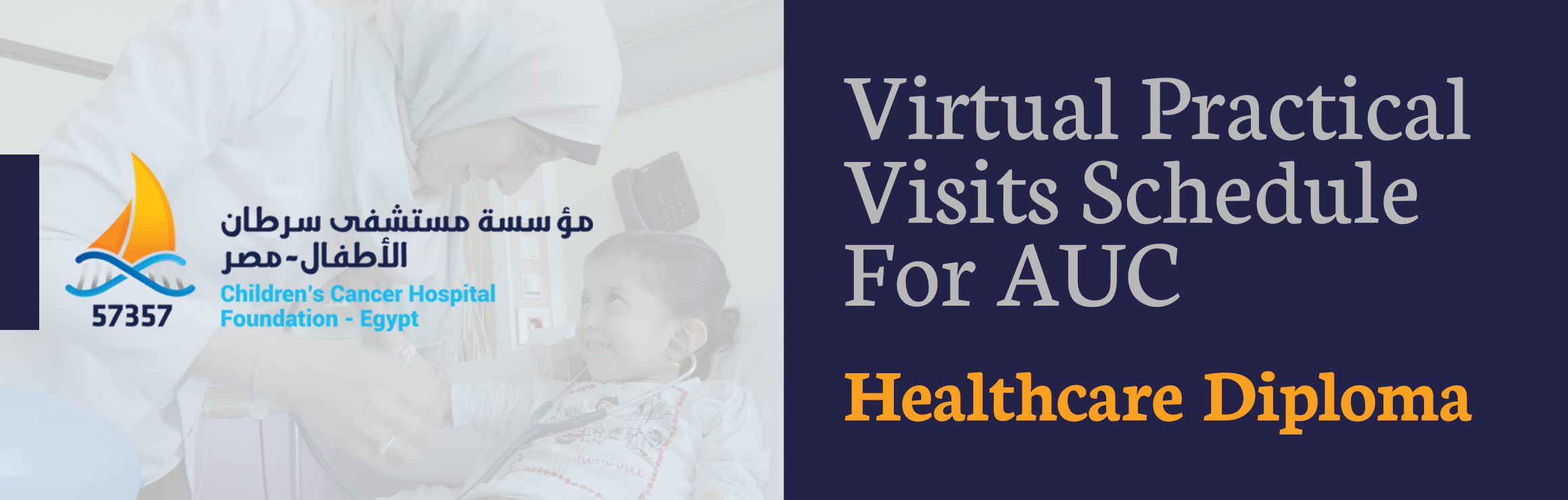 Virtual Practical Visits Schedule for AUC Healthcare Diploma (OE Run 2)