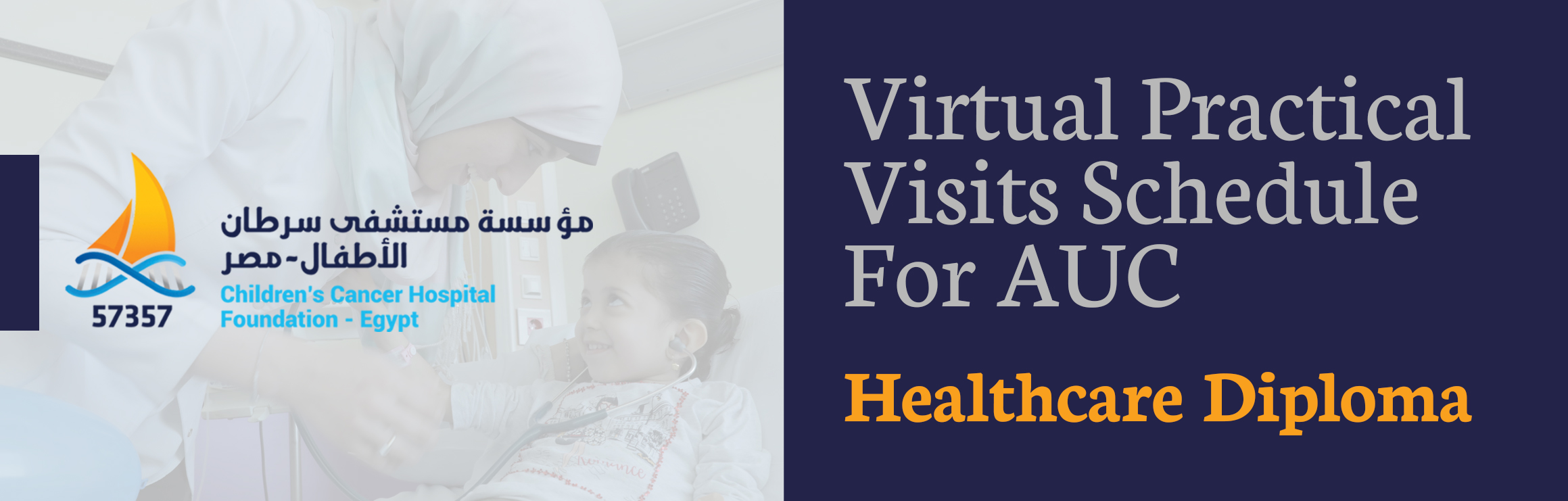 Virtual Practical Visits Schedule for AUC Healthcare Diploma (QE Run 14)