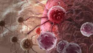 Cancer Biology Course 2024