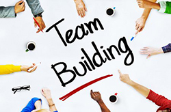 Hiring and Team building by Harvard University
