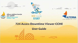 724 Access Downtime Viewer CCHE - User Guide